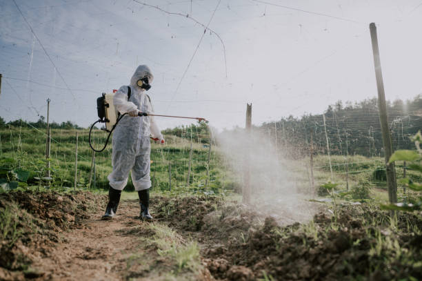 Best Best Pest Control Companies  in Norton, KS
