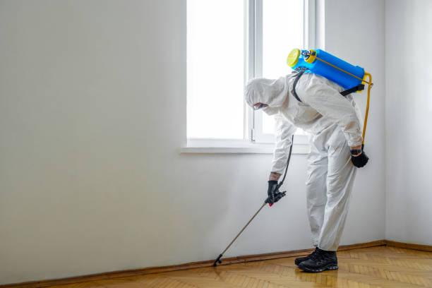 Best Bed Bug Extermination  in Norton, KS