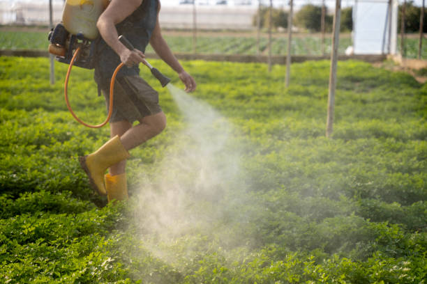 Best Mosquito Control Services  in Norton, KS