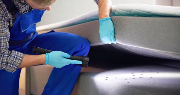 Best Affordable Pest Control Services  in Norton, KS