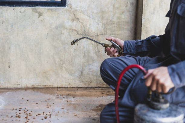 Best Local Pest Control Services  in Norton, KS